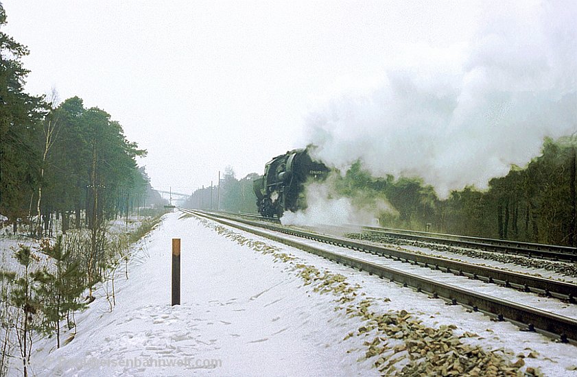 52 8083 in Lauta