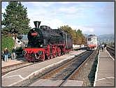 Dampf und Diesel in Viseu de Jos