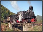 Mit Mariuta und der 763 193 nach Poiana Novat