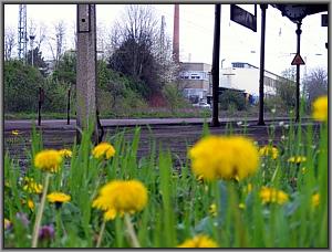 Zum Vergrößern auf das Bild klicken! Dort können Sie auch blättern und die Bildunterschriften lesen! Bahnhof Wiesbaden-Schierstein