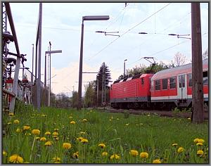 Zum Vergrößern auf das Bild klicken! Dort können Sie auch blättern und die Bildunterschriften lesen! 143 819 in Wiesbaden-Schierstein