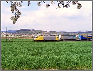 Zum Vergrößern auf das Bild klicken! Dort können Sie auch blättern und die Bildunterschriften lesen! 143 862 in Niederwalluf