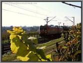 185 157 bei Hattenheim