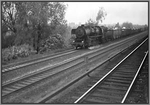 52 8185 mit Mllzug