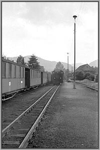 99 xxxx in Olbersdorf Oberdorf