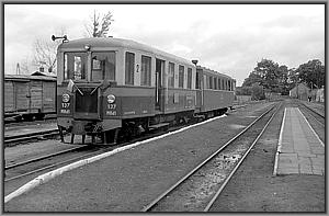 Mbd1 137 in Lisewo