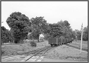 Mbd1 130 in Lipinka