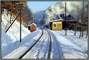 99 1606 mit Ng 67920 vor Wolkenstein