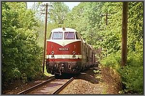 118 247 mit P 19011 vor Gehren
