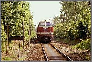 118 250 als Schlulok bei P 19011 vor Gehren