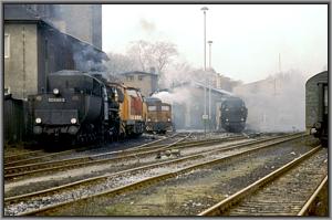 52 8180 in Haldensleben