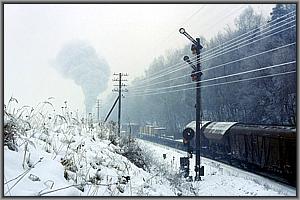 44 0413 am Einfahrsignal von Tppeln