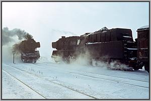 Begegnung 50 3512 und 50 3556 in Wegeleben