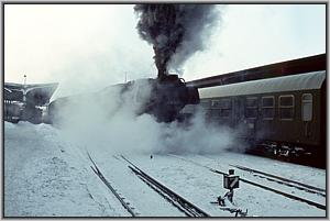 50 3575 in Halberstadt