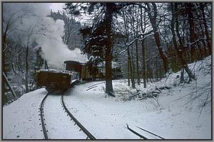 99 5906 mit Pmg 14452 vor Alexisbad
