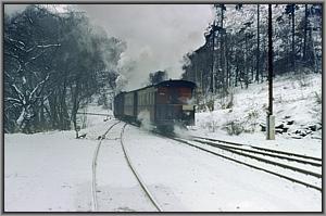 99 6001 mit Pmg 14456 in Mgdesprung