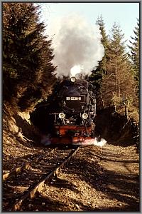 99 0238 mit P 14445 zwischen Steinerne Renne und Drei Annen Hohne