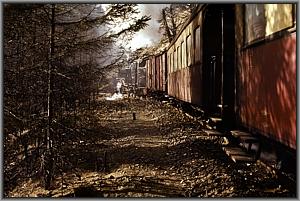 99 0238 mit P 14445 zwischen Steinerne Renne und Drei Annen Hohne