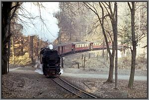 99 0245 mit Gmp 69753 nach Schierke vor Steinerne Renne