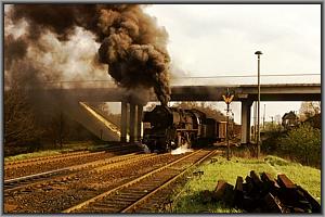 50 3599 in Wittenberge Nord