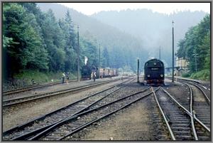 Panorama von Eisfelder Talmhle mit 99 0244 und 99 0234