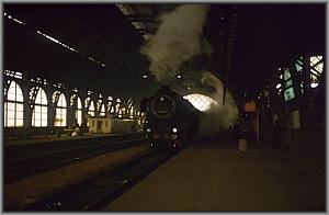 52 8036 mit P 4856 in Dresden Hbf