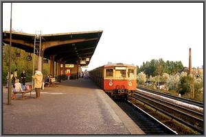 K5 in Plnterwald