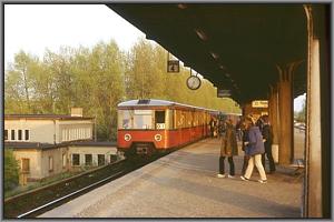 O1 in Plnterwald