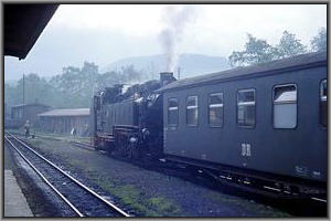 99 1771 in Cranzahl