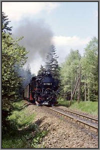 99 1790 bei Niederschlag