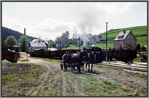 99 1779 in Hammerunterwiesenthal