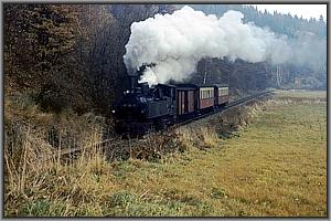 99 5904 bei Alexisbad
