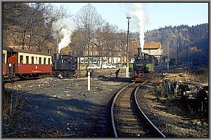 99 5902 in Alexisbad