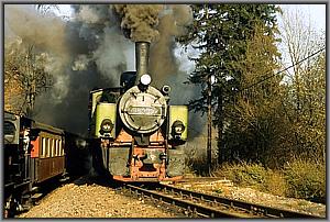 99 5903 in Alexisbad