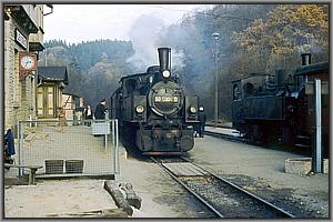 99 5904 in Alexisbad