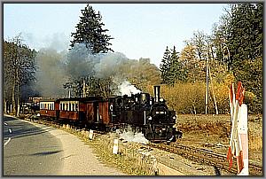 99 5904 in Alexisbad