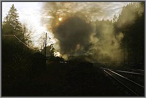 99 5903 in Alexisbad