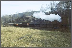99 1561 bei Grorckerswalde