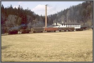 99 1561 vor Streckewalde