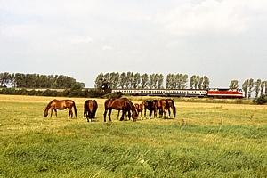 BR 119 in Glindenberg