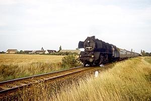50 3681 in Woltersdorf