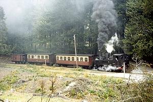 99 5902 bei Birkenmoor