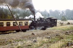 99 5902 bei Birkenmoor