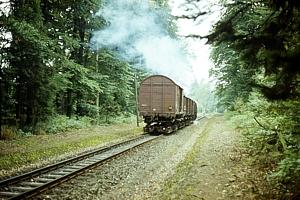 99 7234 bei Birkenmoor