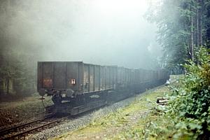 99 7245 bei Birkenmoor