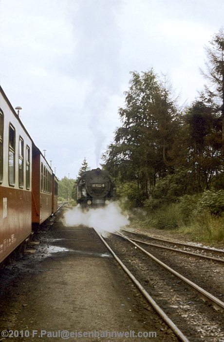 99 7222 in Hasselfelde