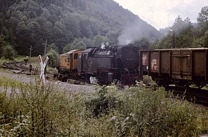 199 301 in Eisfelder Talmhle
