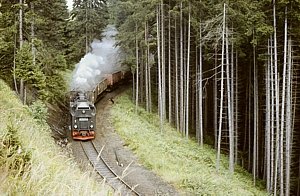 199 301 in Eisfelder Talmhle