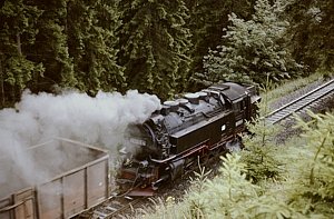 199 301 in Eisfelder Talmhle