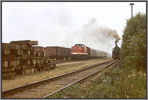 52 8141 in Casekow